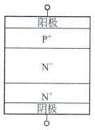 FWD芯片结构
