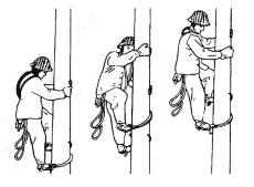图1-43 用铁鞋登杆的方法