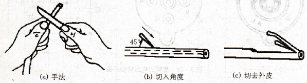 剥离绝缘层