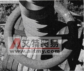 雷击故障绝缘子均压环闪络痕迹