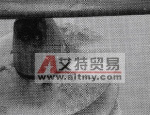 污闪故障瓷绝缘子闪络图片