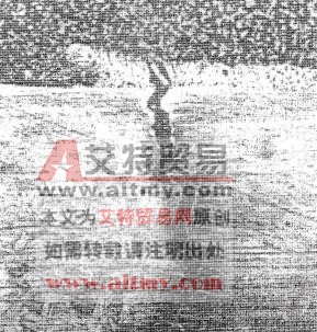 奥氏体不锈钢基体上的铜渗透裂纹形貌（放大100倍）