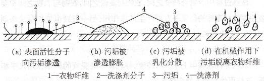 洗衣机的洗涤原理