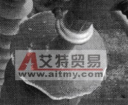 1000kV交流输电线路外力破坏故障的处理